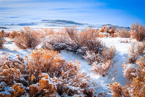 Winter On Antelope Island Snow Covers The Brushy Rocky Landscape Of