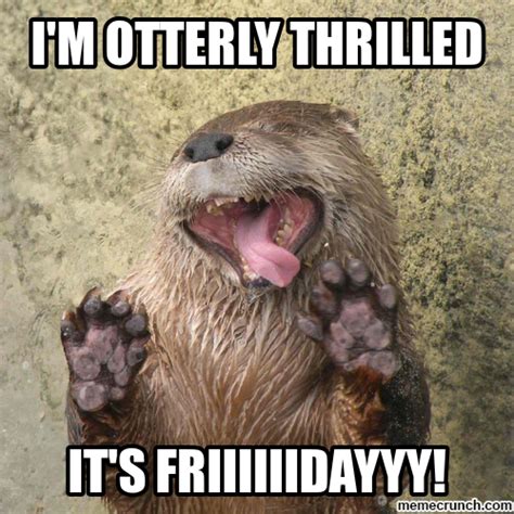 Happy Friday Cute Animals Otters Funny Animals