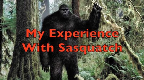 My Experience With Sasquatch Bigfoot Youtube