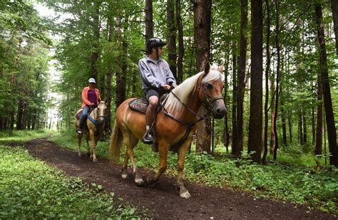 Horseback Riding In Upstate Ny Where To Go For Lessons Trails More