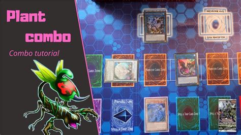 Yu Gi Oh Plant Combo Deck Combo Tutorial April 2022 Format Youtube