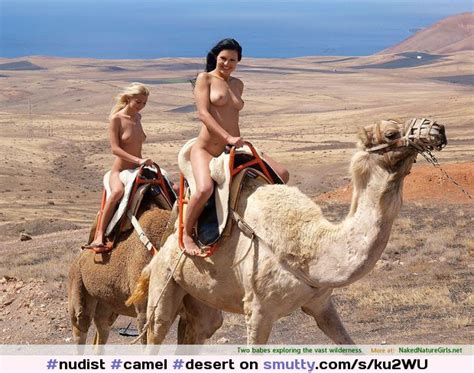 Nudist Camel Desert Smutty Com