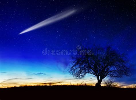 Starry Night Stock Photo Image Of Blue Night Twilight 27825164