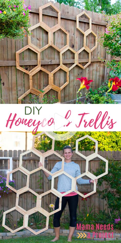 Diy Garden Trellis Ideas The Honeycomb Home Sexiz Pix