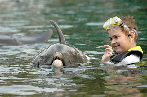 630 Kids Swimming With Dolphins Stock Photos Pictures And Royalty Free