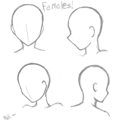 Drawing Heads Drawing Base Eye Drawing Drawing Tips Female Head