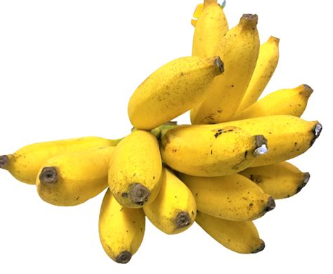Banana Yelakki Organically Grown 500 G Amrs Garden