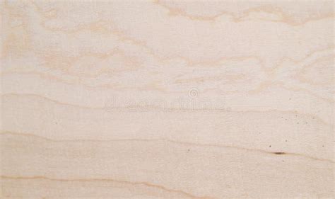 Wood Wool Stock Photo Image Of Wood Natural Wool Texture 731674