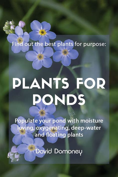Plants For Purpose Plants For Ponds David Domoney