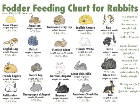 Printable Rabbit Diet Chart