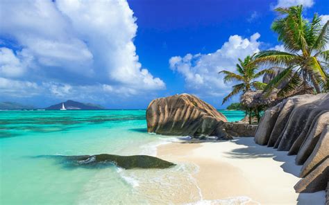 Download Palm Tree Sea Ocean Tropical Island Seychelles Nature Beach Hd Wallpaper