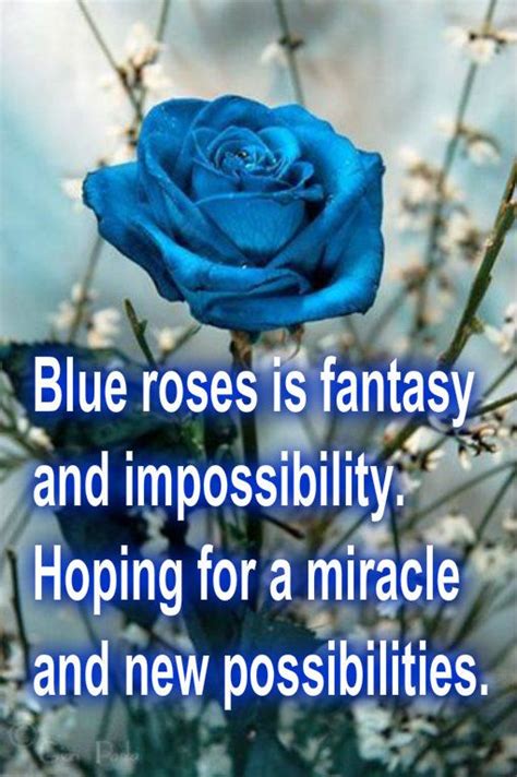Tell us what it is in the comments below. Blue Rose Quotes. QuotesGram