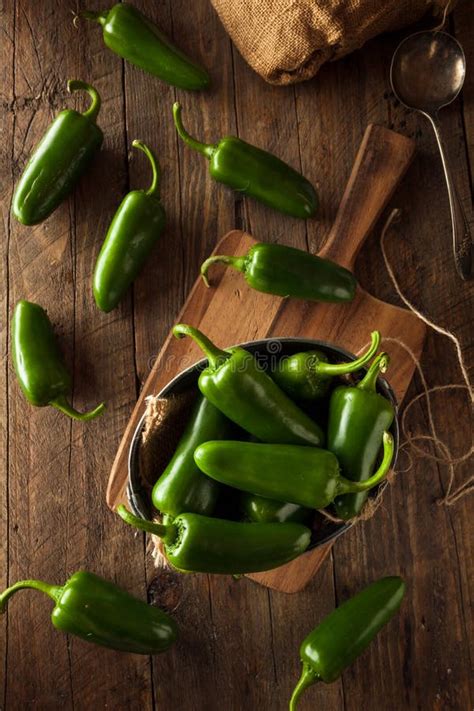 Organic Green Jalapeno Peppers Stock Image Image Of Delicious