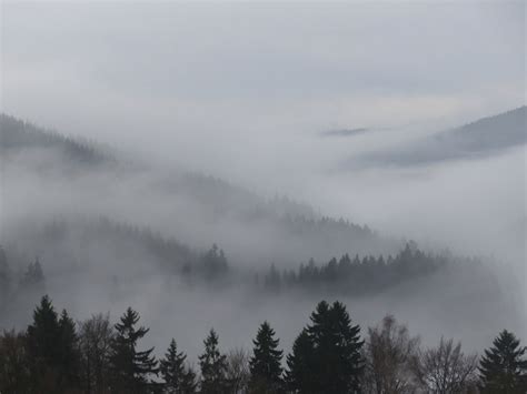 รูปภาพ ต้นไม้ ป่า หิมะ ฤดูหนาว เมฆ ตอนเช้า รุ่งอรุณ เทือกเขา