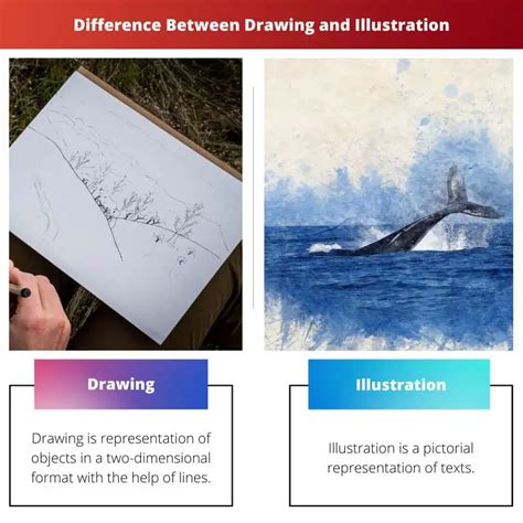 Drawing Vs Illustration Difference And Comparison