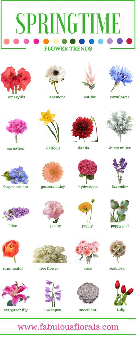 Perfect Best Spring Flowers Names And Review Spring Flowers Names