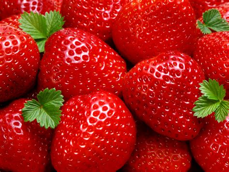 Fresh Strawberries Photography Hd Wallpapers Desktop Wallpaper