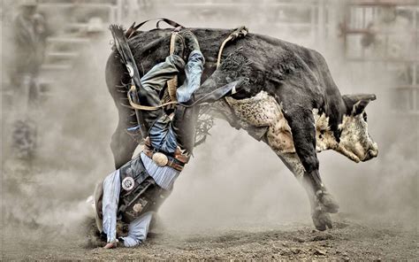 Rodeo Desktop Nexus Wallpapers Bucking Bulls Bull Riding Bull Riders