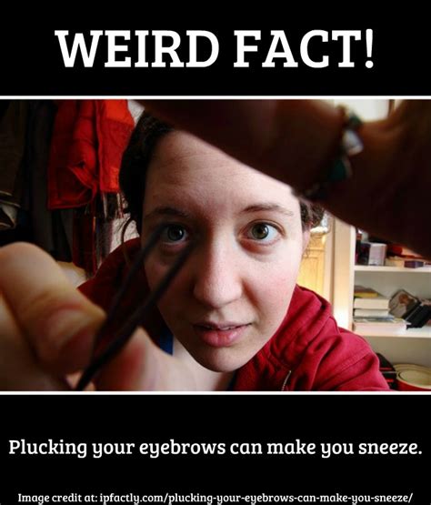 It can even cause nasal fractures. Plucking your eyebrows can make you sneeze. | Always Learning!