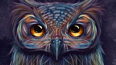 Owl Colorful Art 5k Hd Artist 4k Wallpapers Images Backgrounds
