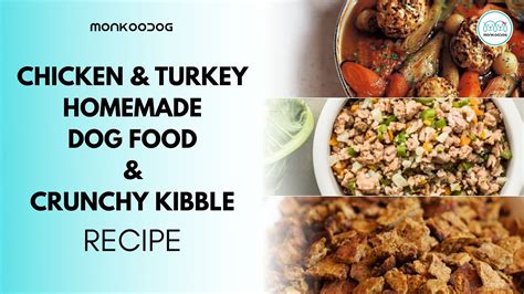 Homemade Kibble Dog Food Recipes My Bios