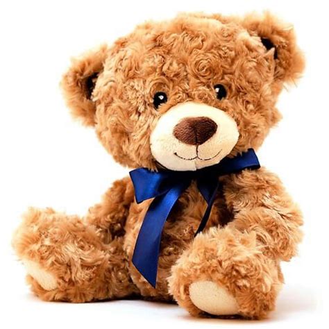 Cute Brown Teddy Bear Ubicaciondepersonascdmxgobmx
