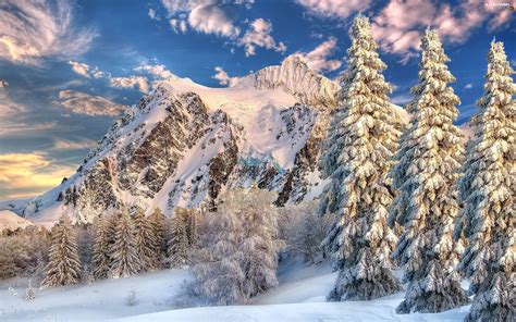 Snowy Spruces Mountains Forest Winter For Desktop Wallpapers