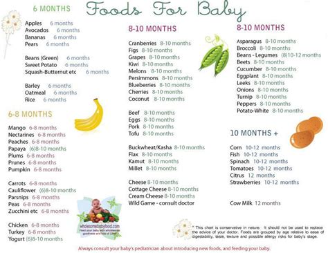 Can i give my baby solid food at four months? Healthy food chart for babies, cardio workout programs for ...