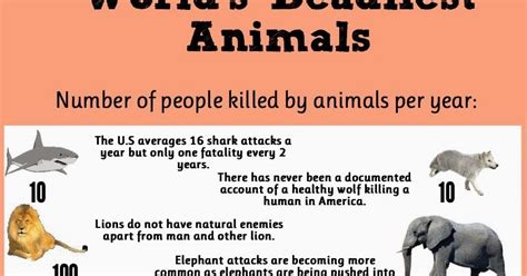 Deadliest Animal Deadly Animals Infographic Fun Facts Riset