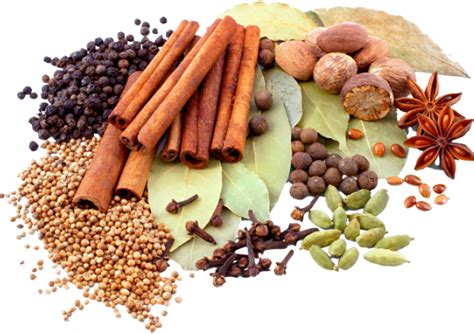 Download Hd Herbs And Spices Clipart Indian Spice Spices And Herbs