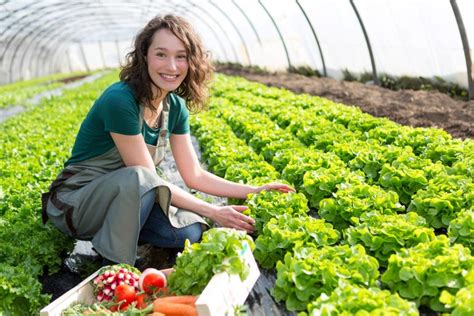 Women In Horticulture Scholarships Ausveg