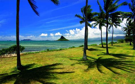 Landscapes Nature Hawaii Five Oahu Cities Wallpaper