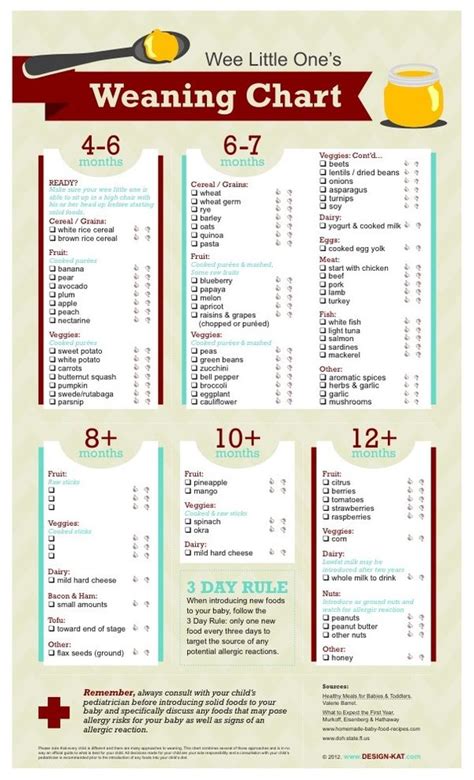 Age guide to introducing solids | Stardust&Bloom