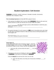 Cell division worksheet answer key. ANATOMY anatomy - Cedar Ridge High School