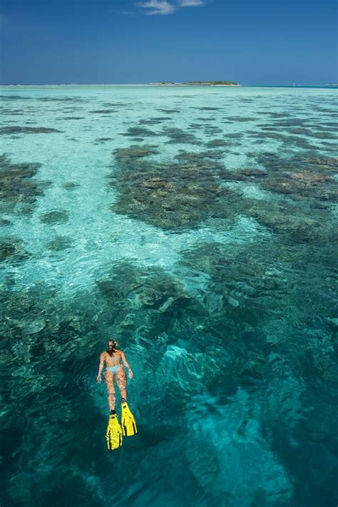 Snorkeling The Indian Ocean By The Maldives Outdoor Photography
