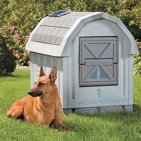 Dog House Ideas Your Pet Deserves A Really Cool Home