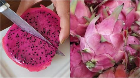 This all about how to prepare dragon. DRAGON FRUIT CLEANING & CUTTING EASY WAY | How To Cut Dragon Fruit | How To Eat Dragon Fruit ...
