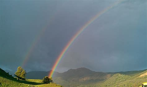Royalty Free Photo Rainbow Over Forest And Mountain Pickpik