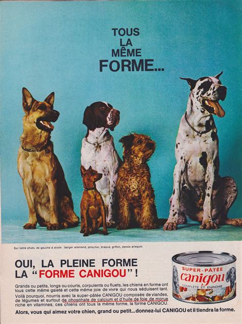 Super Pâtée Canigou Femmes Daujourdhui 21 Février 1968 Vintage Advertisements Vintage Ads