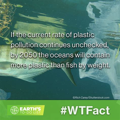 Plastic Pollution Saving Earth Encyclopedia Britannica Pollution