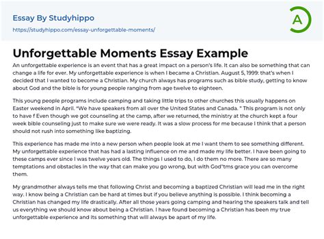 Unforgettable Moments Essay Example StudyHippo Com
