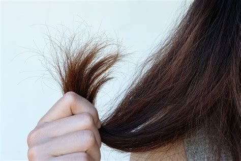 One of the most used remedies for dry hair is egg yolk. 9 Solutions For Dry, Brittle Hair | Brittle hair remedies ...