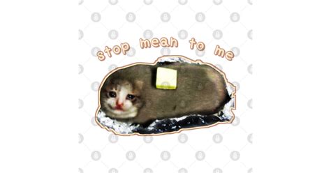 Stop Mean To Me 3 Starring Crying Cat Baked Potato Wholesome Cat Memes Memes T Shirt