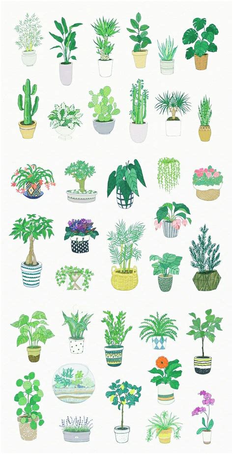 En todos los tamaños y formas. Stickers de plantas | Arte vegetal, Ilustración planta ...