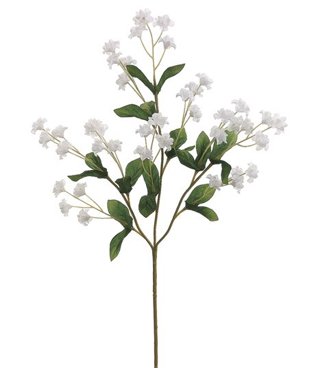 Babys Breath White Joann