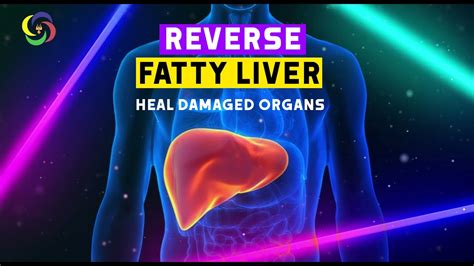 Heal Your Organ And Liver Reverse Fatty Liver Liver And Organ