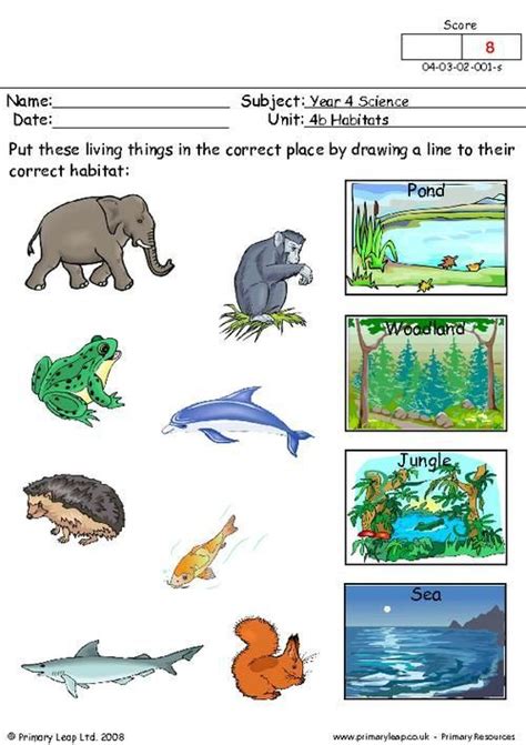 animals  worksheets worksheets