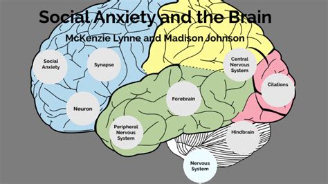 Social Anxiety And The Brain By Mckenzie Lynne