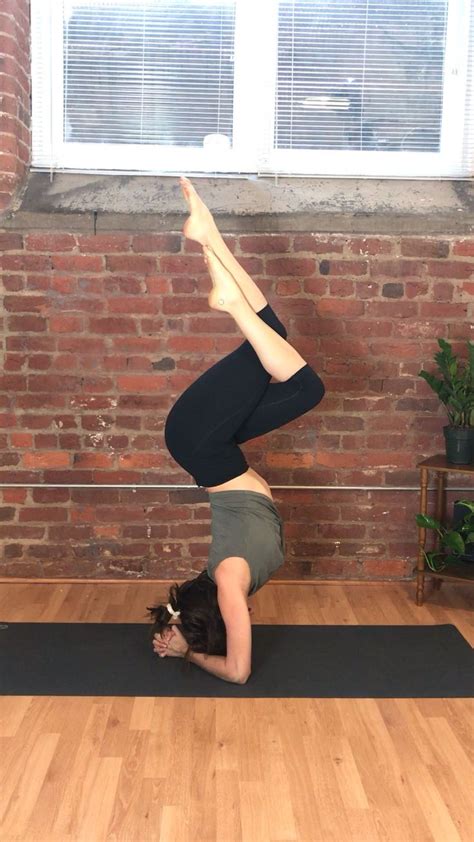 Forearm Stand Practice Yoga Program Yoga Poses Easy Yoga Workouts