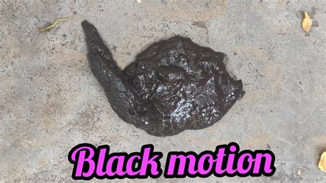 Dog Black Tarry Stools Black Motion நாய் கருப்பு கழிச்சல் Youtube